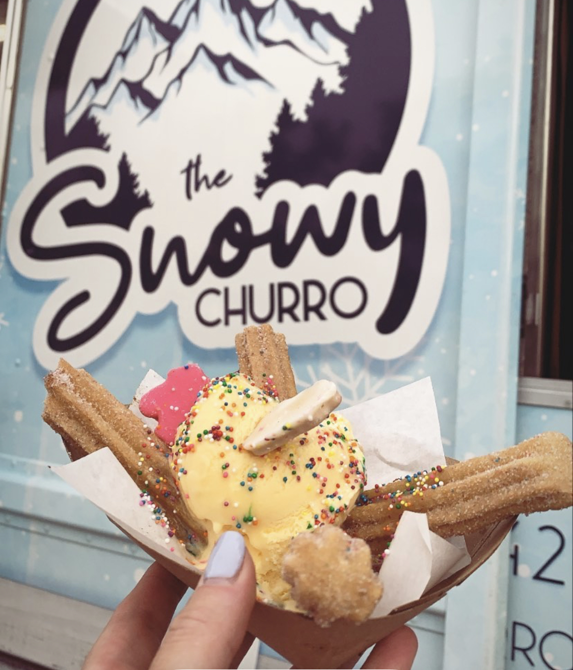Colorful churros with ice cream and sprinkles in a cute bowl.